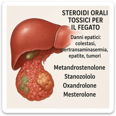 steroidi orali tossici per il fegato, tutto in italiano il testo. sticker