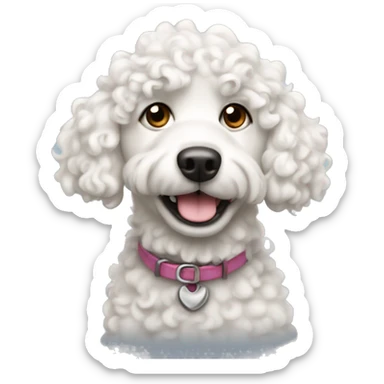 White ￼ curly haired dog  sticker