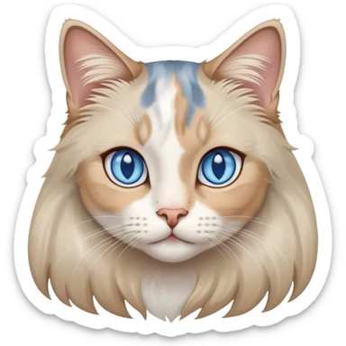 Blue eyes long hair dilute calico cat  sticker