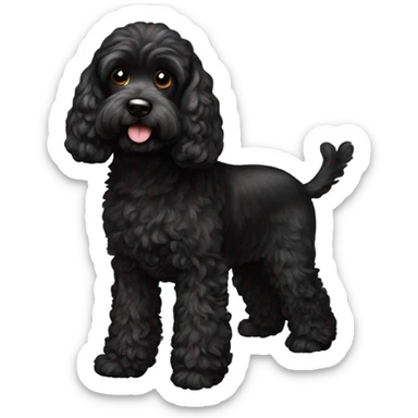 black cockapoo  sticker