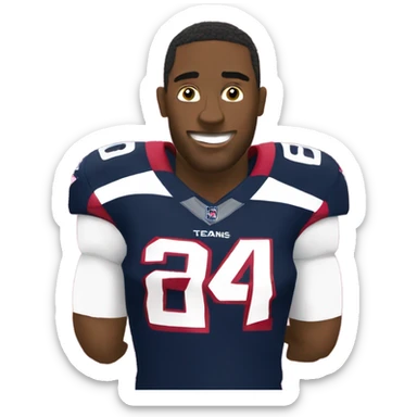 Houston Texans sticker