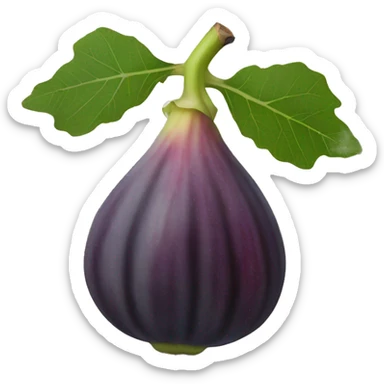 fig the fruit sticker