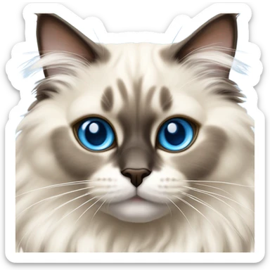 Ragdoll cat  sticker