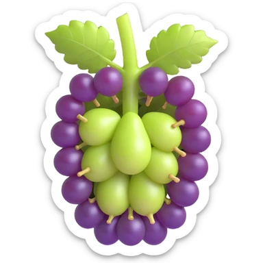 3D emoji style illustration of a grape cross-section showing purple skin, light green flesh, seeds, and stem, with each part distinctly separated in a three-dimensional manner, no background sticker
