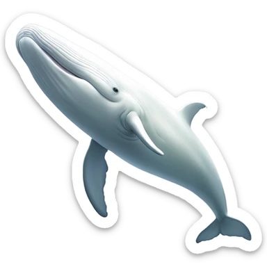white whale , underside sticker
