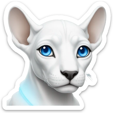 white sphinx with blue eyes  sticker
