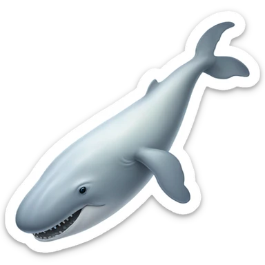 white whale , underside sticker