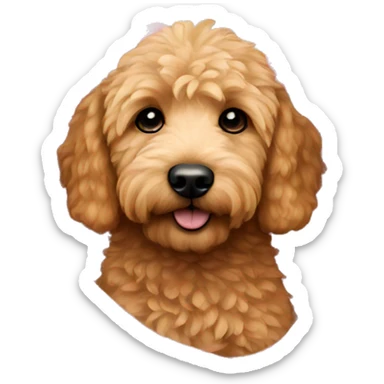 mini golden doodle with a pink blanket around itself sticker