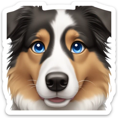 Australian Shepard and border collie mix with blue eyes sticker