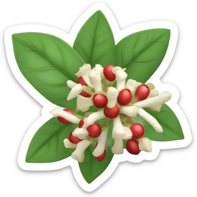 ashwagandha berries flower sticker