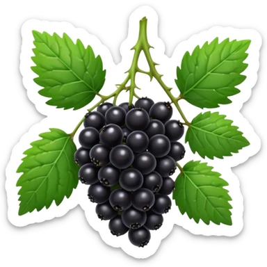 blackberry plant sticker