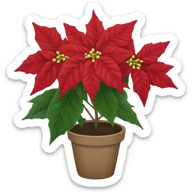 Poinsettia  sticker