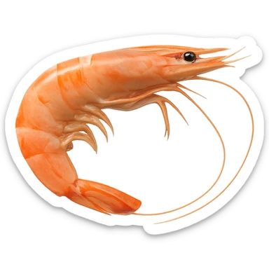 Shrimp sticker