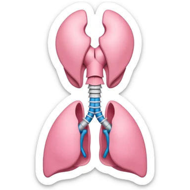 Thyroid gland sticker