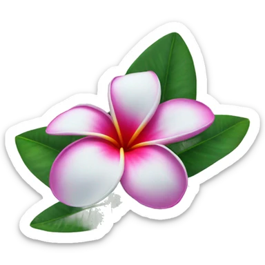 plumeria flower sticker