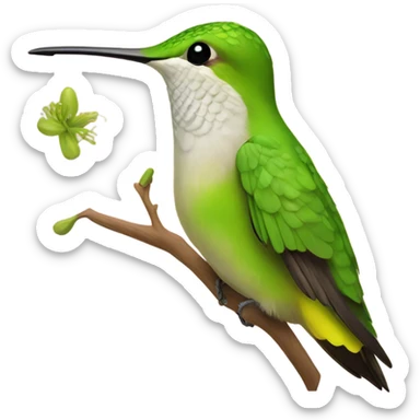 Simple real hummingbird with chartreuse background  sticker