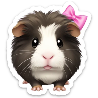 fluffy guinea pig with black,white, and tan face fur wearing a pink bow sticker