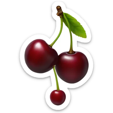 two burgundy cherries on black stem sticker