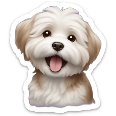 laughing brown coloured dog bichon havanese sticker