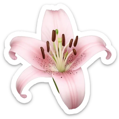light pink lilium sticker