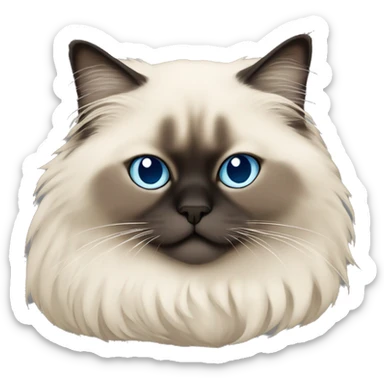 Sleeping himalayan ragdoll cat with full dark face and dark feet sticker