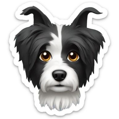 Shaggy black and white small dog with pointed ears  sticker