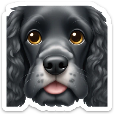 black cocker spaniel small amounts of gray on face sticker