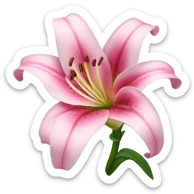 pink lily flower sticker