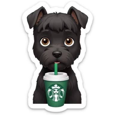 All Black schnauzer with a Starbucks cup sticker
