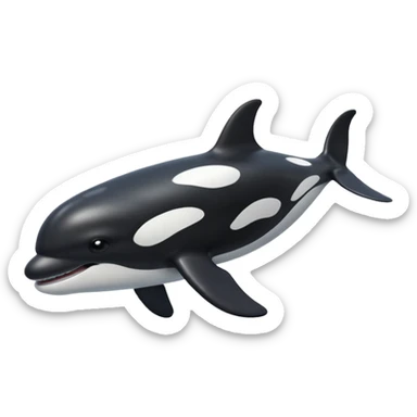 killer whale sticker