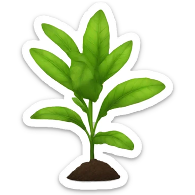 Planta sticker