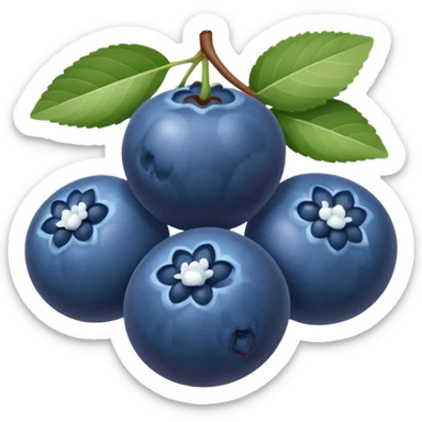 Blueberries whit ྀིྀིྀིྀིྀི  sticker