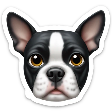 boston terrier with black dot on the top of head sticker