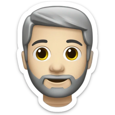 Volkswagen Passat combi 2004 silver sticker