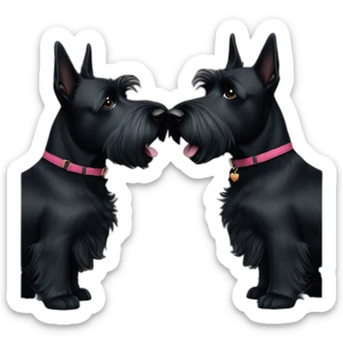 Two black Scottish terrier kissing one male one female sticker