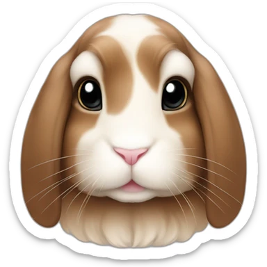 pure brown holland lop bunny sticker