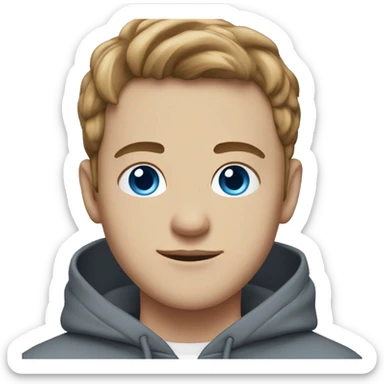 young man with light brown middle part, blue eyes, white skin and a grey hoodie sticker