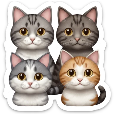 3 different coloured short haired cats including; a dark brown tabby and white cat, and a dark grey and white  sticker