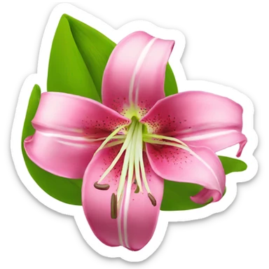 lilly flower sticker