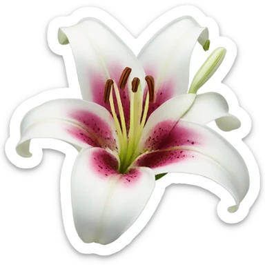 Lily flower sticker