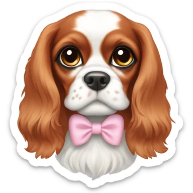 Cavalier King Charles spaniel with light pink bows on ears sticker