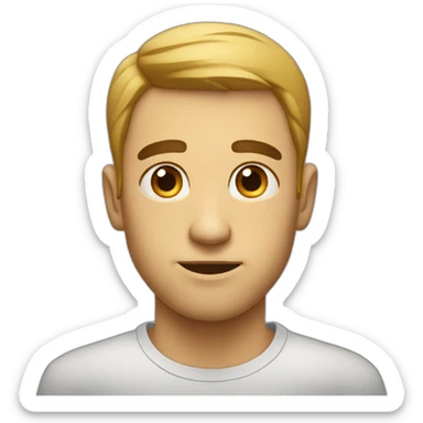 :face_with_raised_eyebrow:  sticker