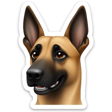 Belgian Malinois with black face ￼ sticker
