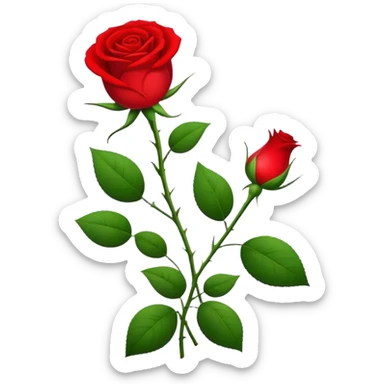 Socialist International with rose sticker