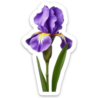 Iris flower sticker