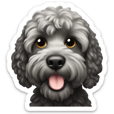 black cockapoo  sticker