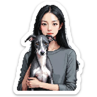 Slim Chinese girl with long black hair holding solid grey Italian greyhound with no white markings on nose sticker