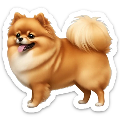 Pomeranian ginger and fat  sticker