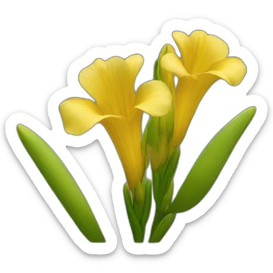 Yellow Freesia flower sticker