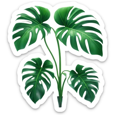 Monstera plant sticker